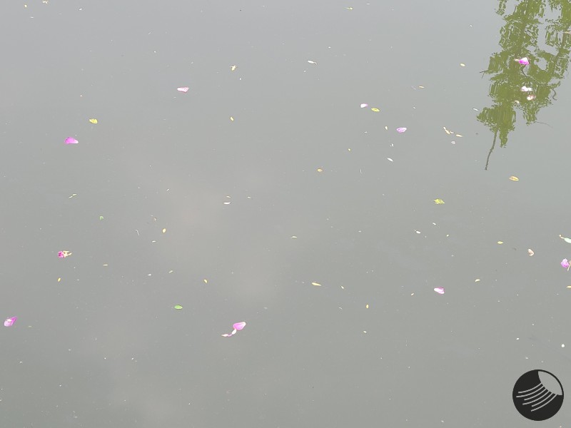 花铺