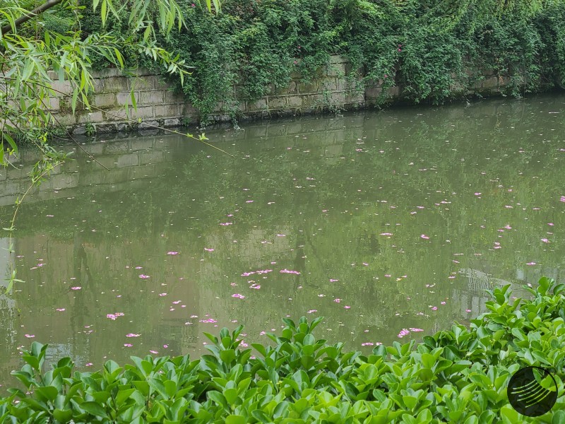 花铺